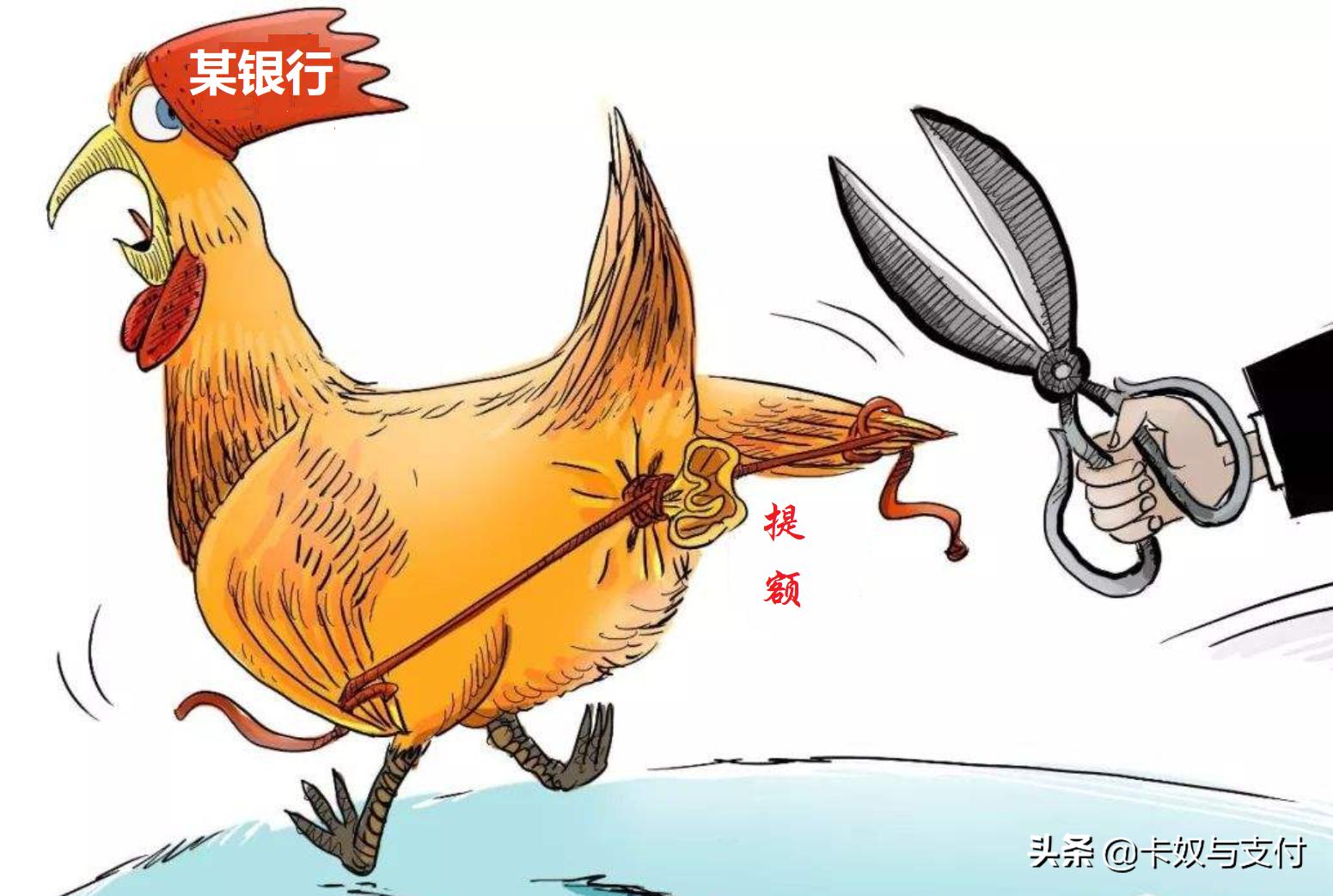 各大银行名称绰号,常见银行的信用卡名称