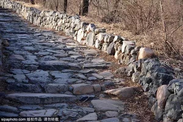 性价比高的亲子旅游推荐,性价比超高亲子游玩好去处