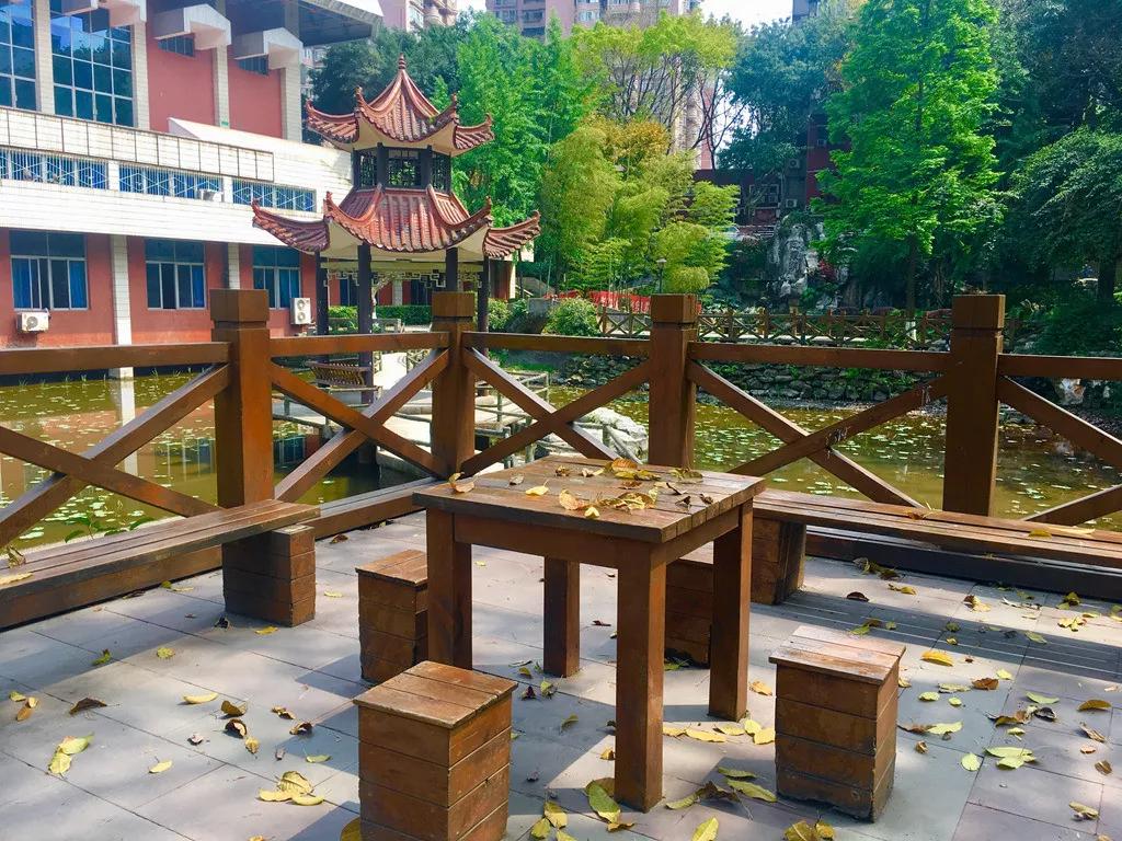 重庆一中本部到底有多强,重庆一中小升初试题及答案