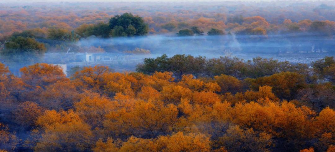 第一次的离别完整版电影,第一次的离别电影免费在线观看