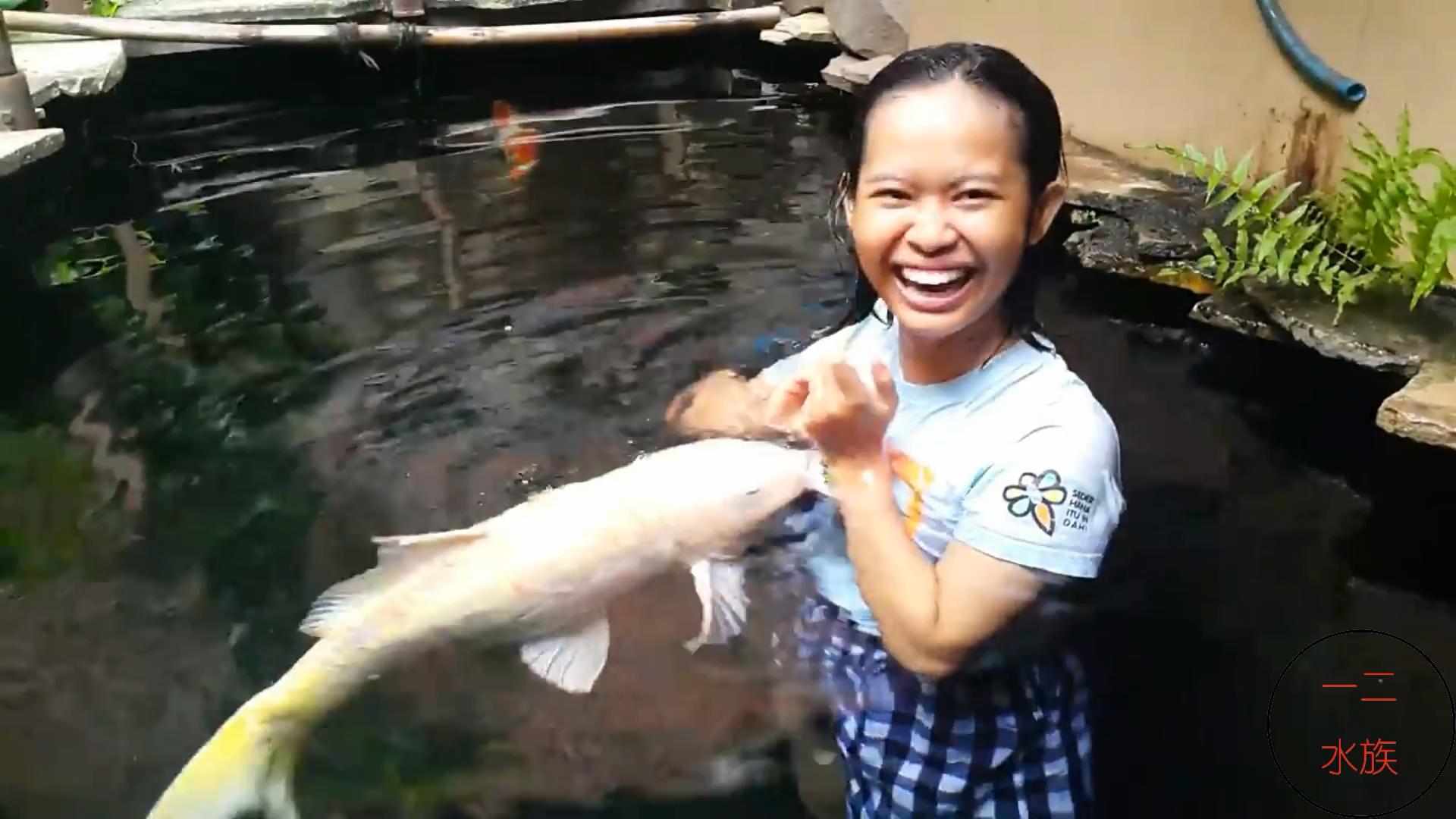 可以和金鱼混养的冷水鱼,热带鱼和金鱼混养会有什么后果