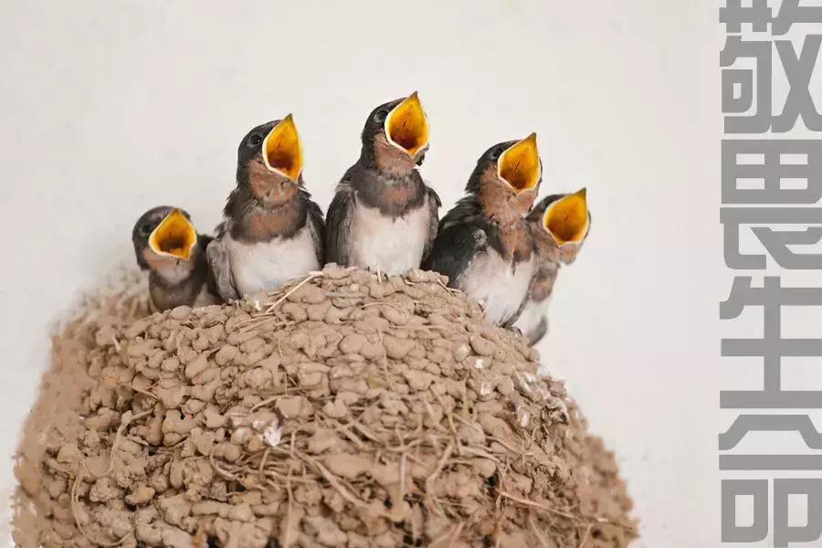 姑娘,如果你不得不流掉肚子里的小生命,请务必看完此文