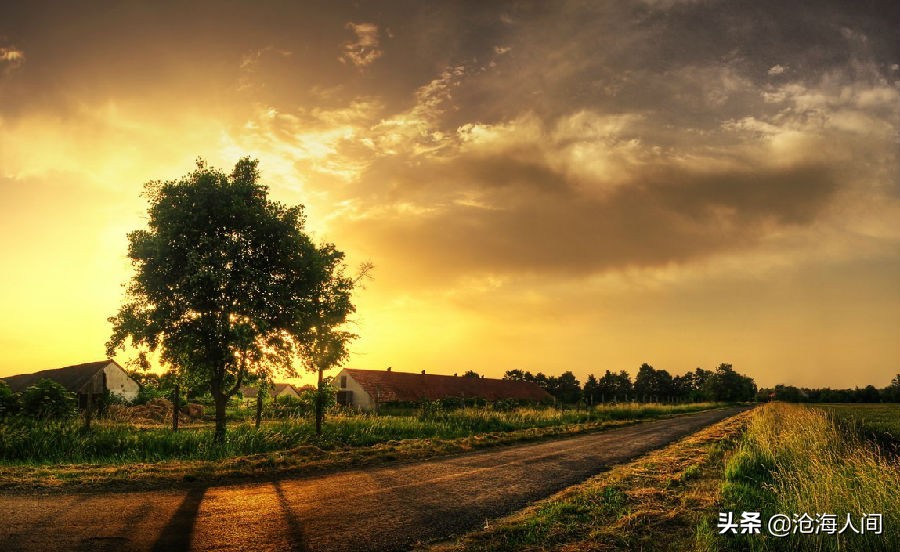 鲍勃迪伦音乐全集,blowinginthewind鲍勃迪伦