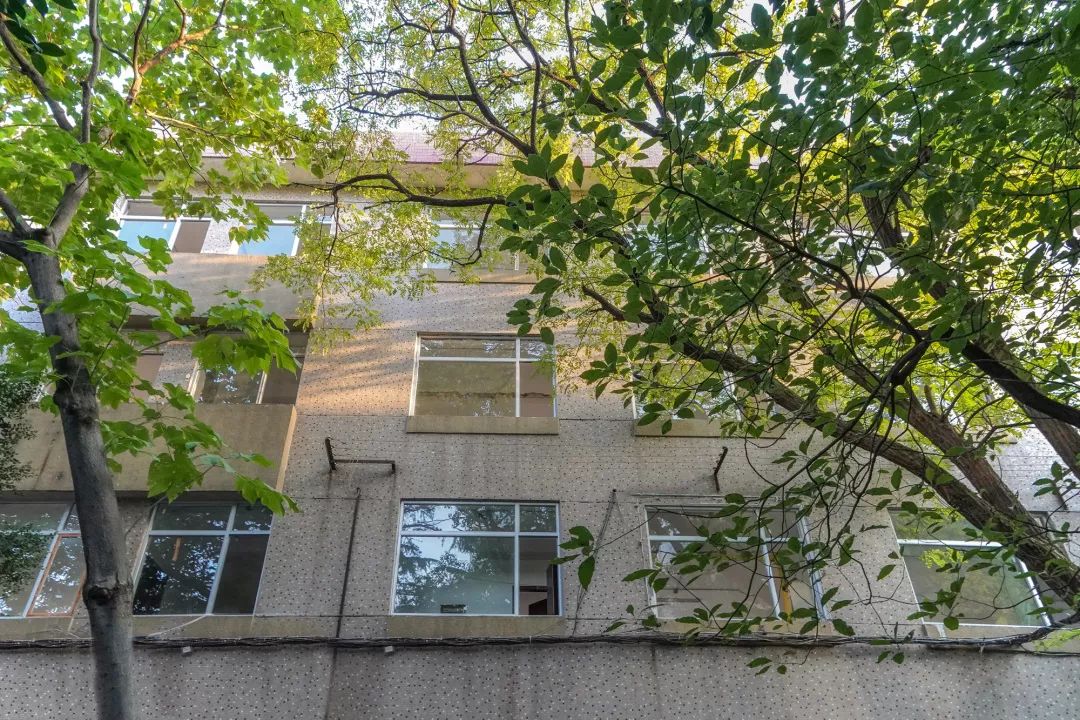 趣办空间|临窗观草木,*情纵**山水间:趣办@长乐路