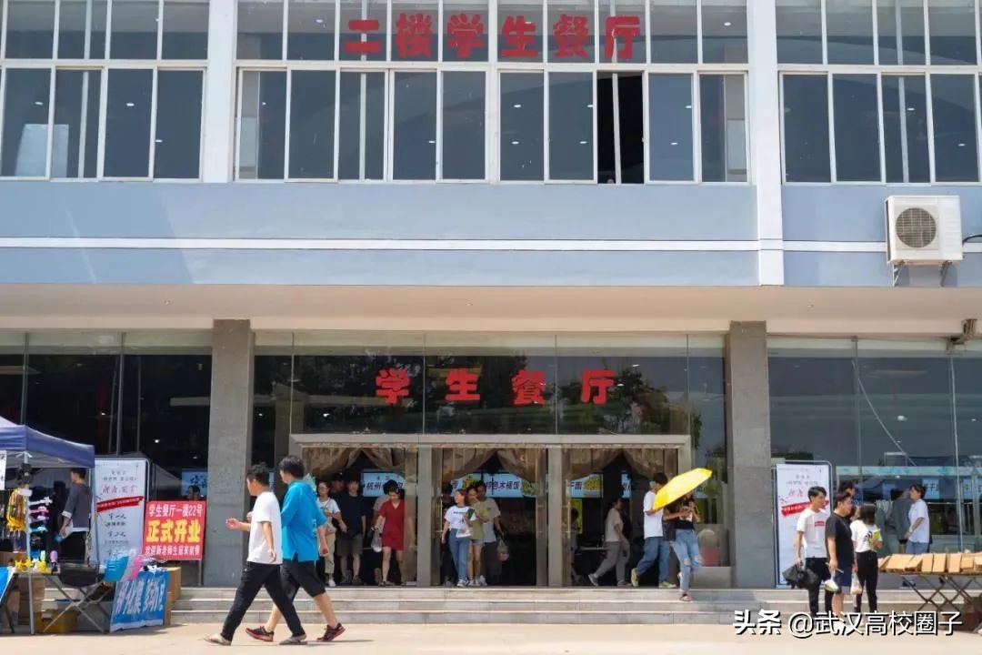 爸妈我想回家视频,爸妈我想回家了原视频