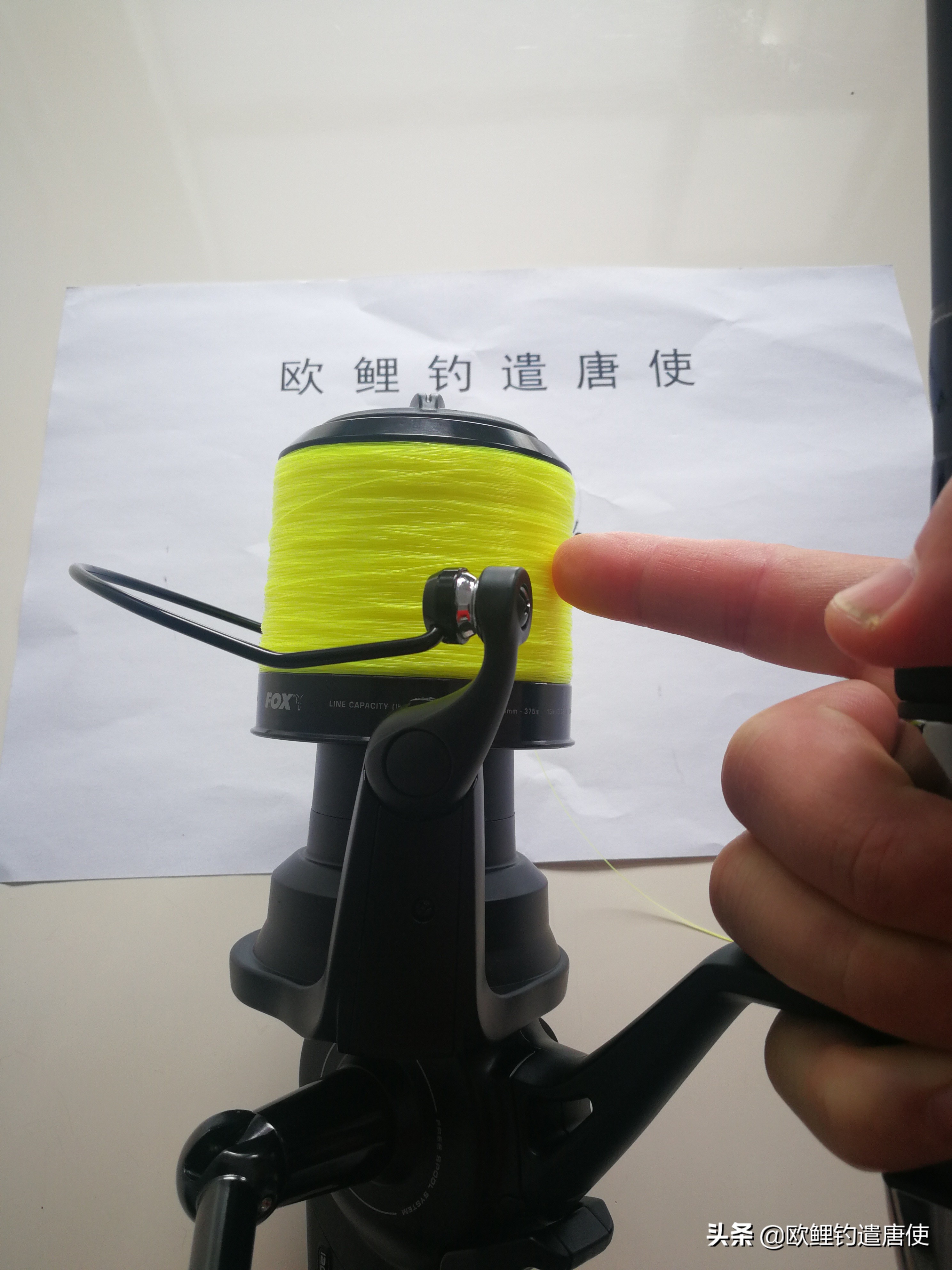 欧鲤钓鱼抛投技巧视频,话说欧鲤钓之抛投篇