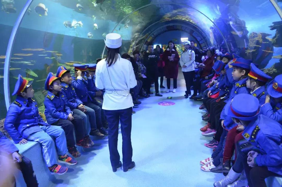 二月份临沂海洋世界主题公园,临沂海洋世界门票哪些人免票