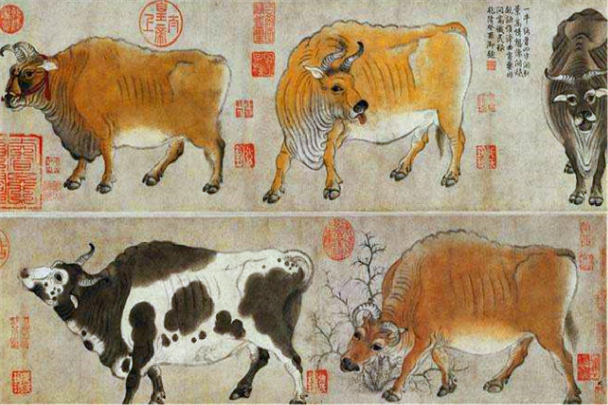 香港富豪给中国捐了多少黄金,香港富豪捐款5个亿给少林寺