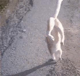 最新防割韭菜套路骗局揭秘,揭秘骗子那些割韭菜套路