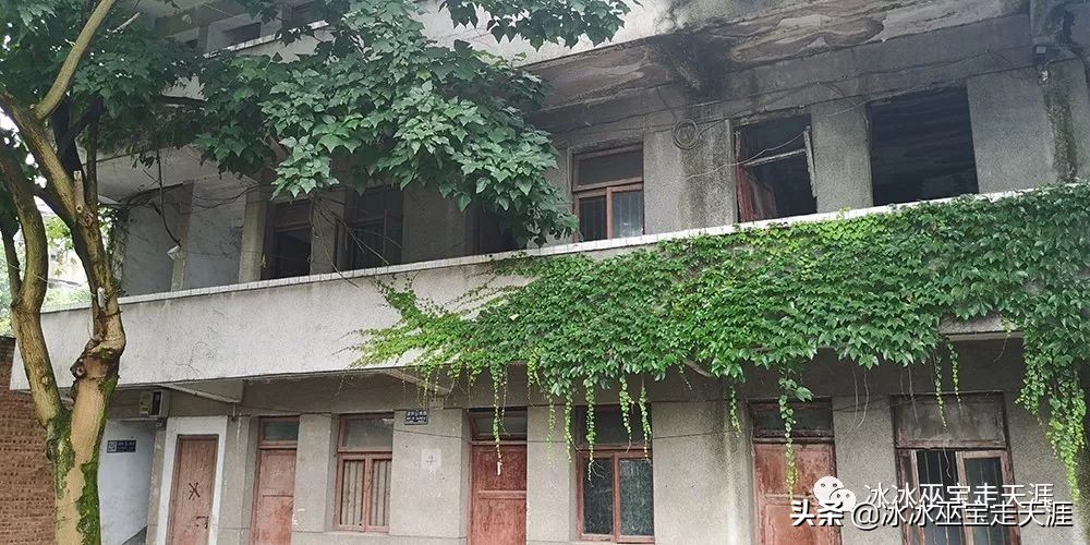 绿皮车成渝铁路上运行,川黔铁路最后的绿皮车