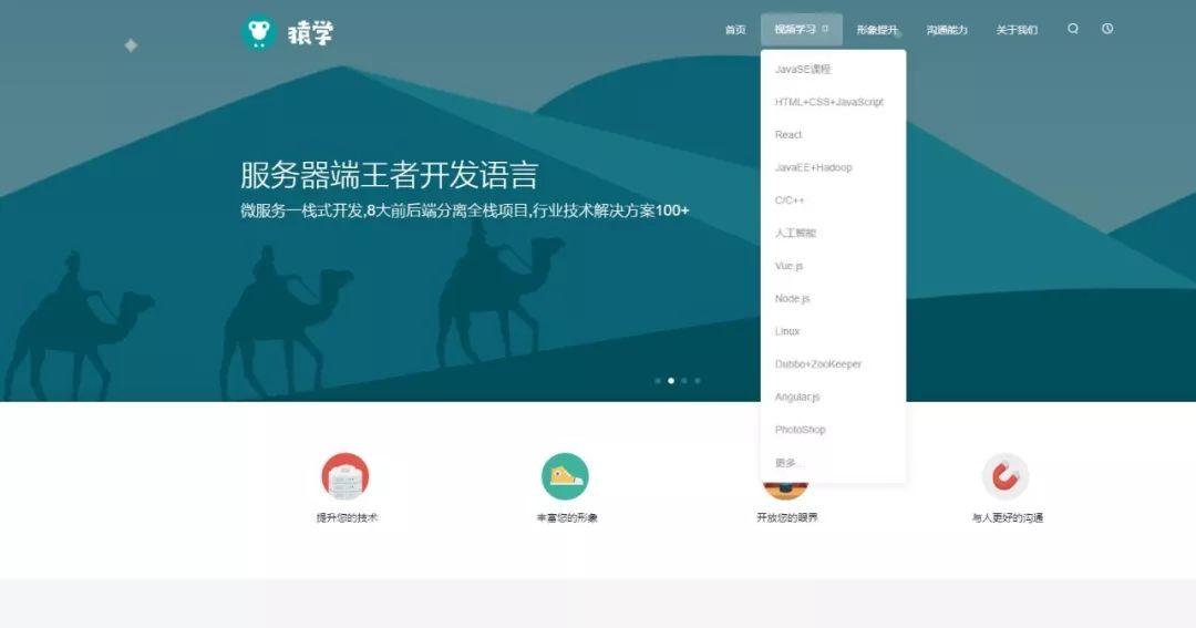 纯干货▪大学生必备学习网站(建议收藏)