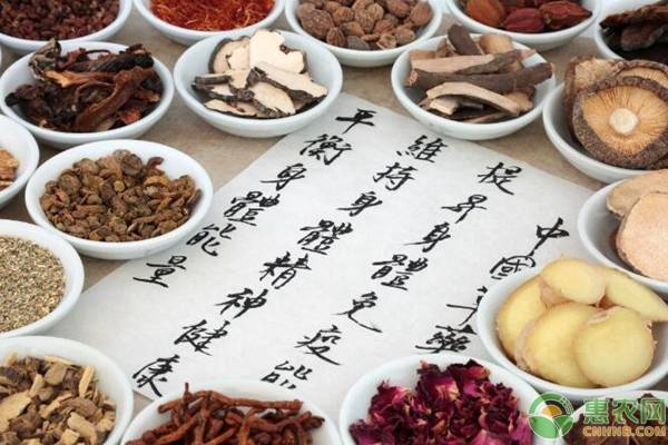 甘草的生长环境与功效,甘草认识与种植