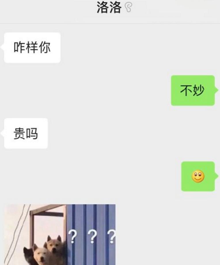 周震南被猫咬到了,周震南与何洛洛聊天记录