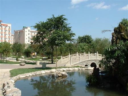 2所攀枝花招专科生的学校，分数线多少？