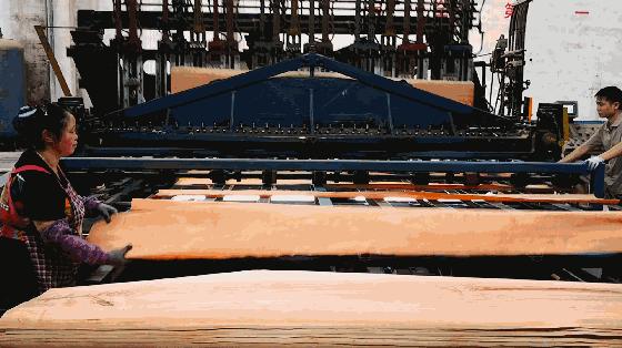 木皮染色材料视频,常见天然木皮