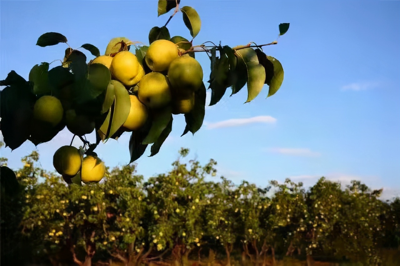 同河谷，英雄谷，正气谷丨李旭丰