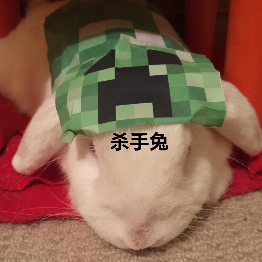 我的世界宠物养殖方法 (我的世界推荐养的宠物)