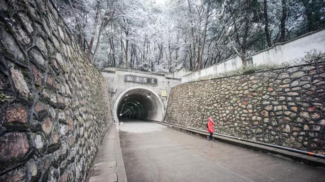 全球最大的地质学院，中国地质大学武汉，在地球科学领域享有盛誉