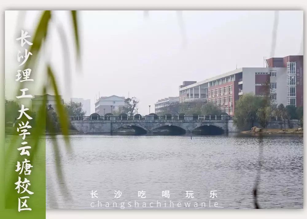 母校我想你,想你母校