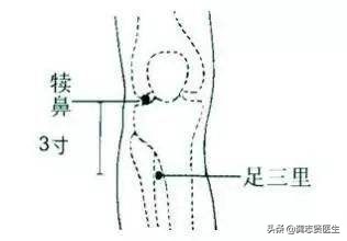 腿疼腿抽筋按哪个穴位,治疗腿脚抽筋特效穴位