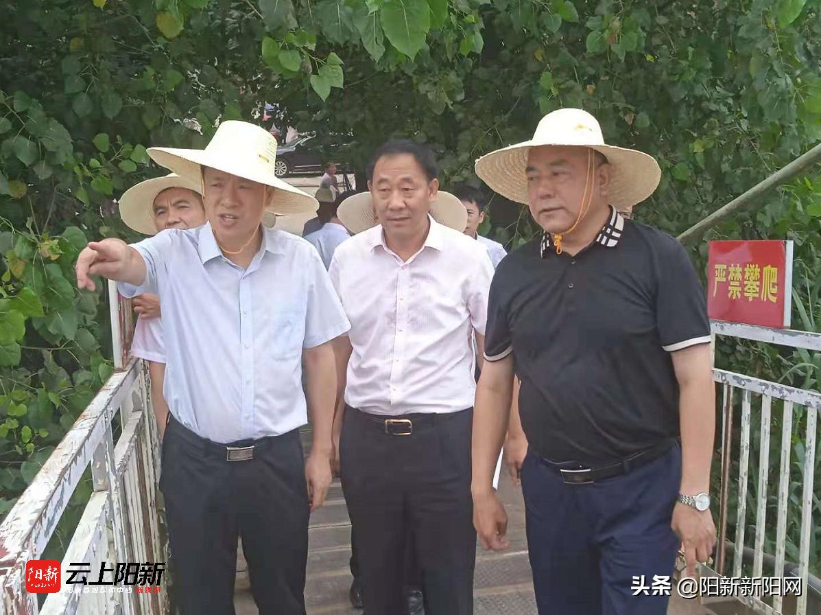 阳新新闻万鼎调研乡村振兴工作,阳新新闻万鼎