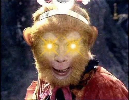 十部顶级治愈系猫片,十部顶级治愈猫的电影