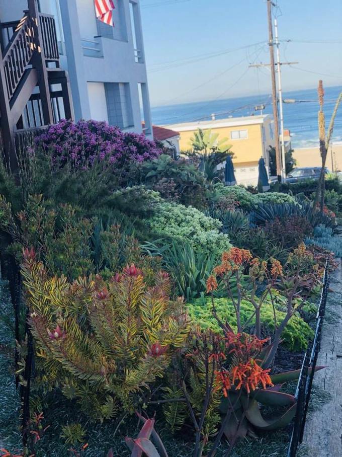 美国洛杉矶旅游七日游费用,美国洛杉矶旅游攻略视频