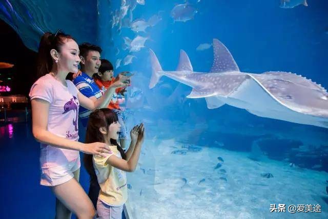 珠海长隆旅游公寓,珠海横琴长隆旅游度假公寓门票