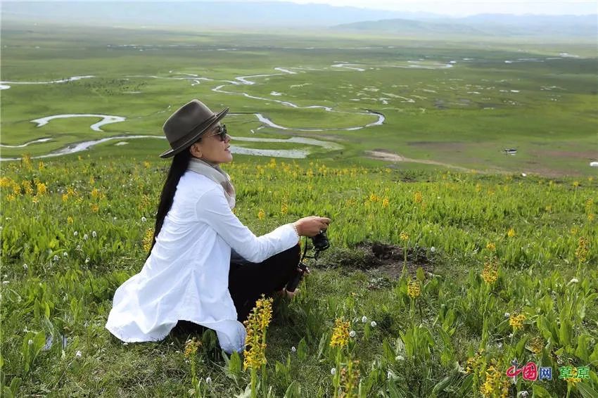 大梅看草原丨盛夏的甘南玛曲，美得脱俗惊艳