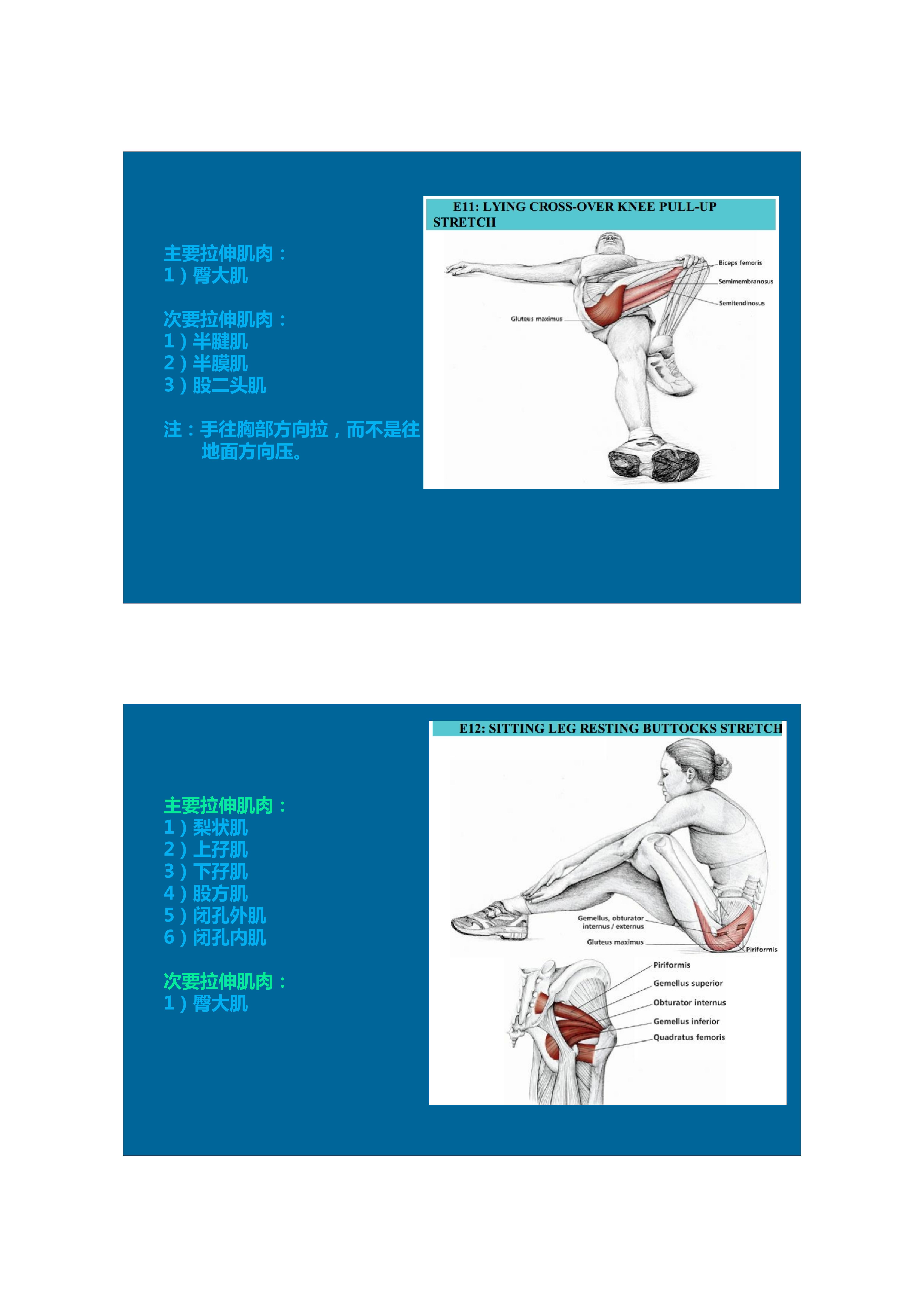 1分钟拉伸动作视频,拉伸腿部技巧