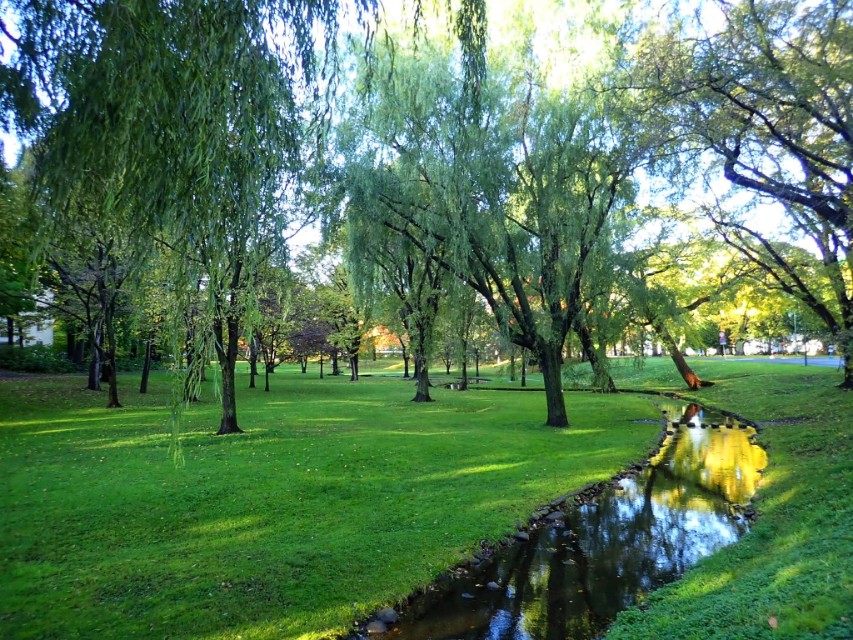 从南到北游日本之北海道札幌