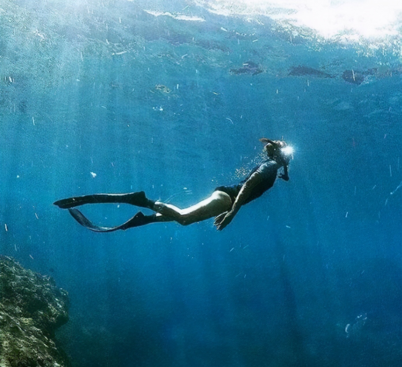 世界上最经典的小丑玛格特罗比,玛格特罗比小丑女是什么电影