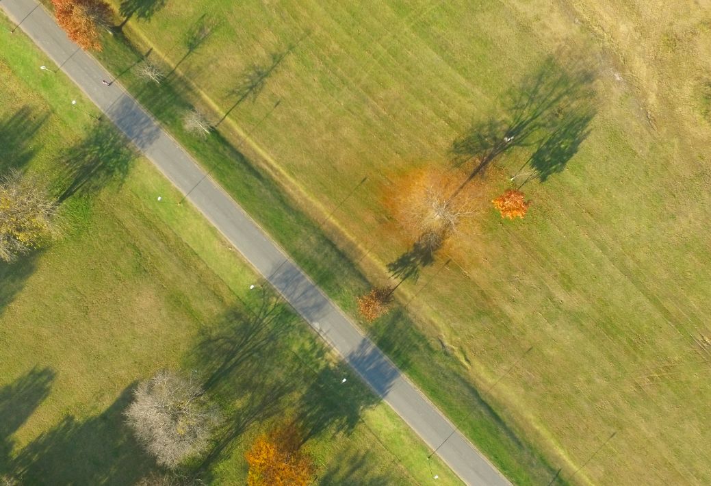 为什么美国城市看不见电线杆,为什么美国的城市没有绿化带