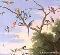 中国最大伊甸园,发现人类秘密