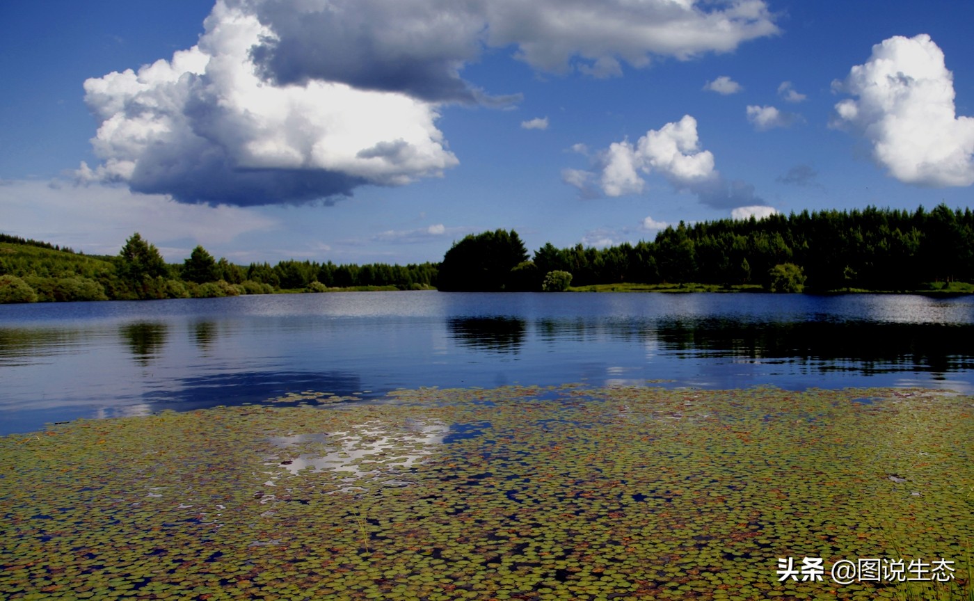 塞罕坝国家森林公园门票价格,塞罕坝2022年收门票吗