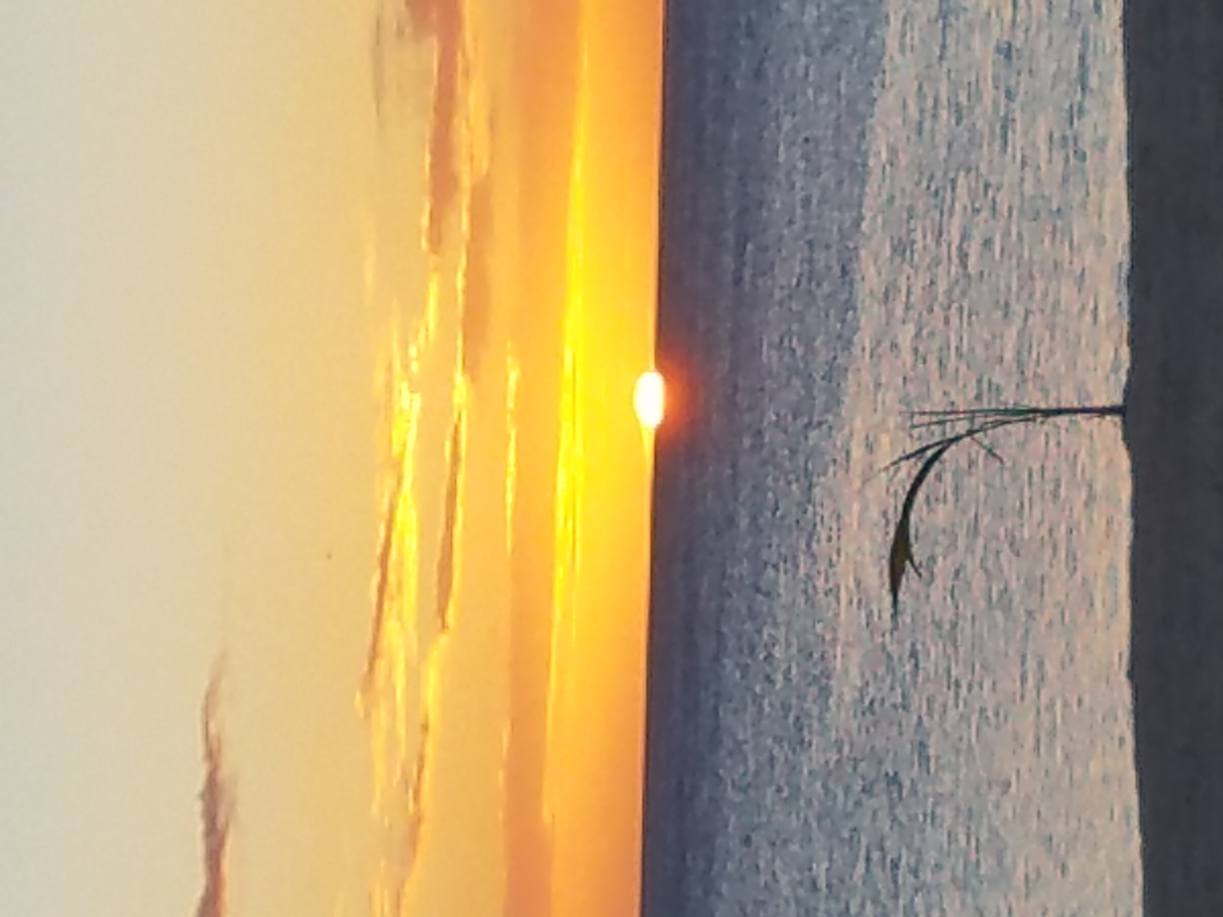 国外自由行如何提前预订旅馆,出境游住宿攻略