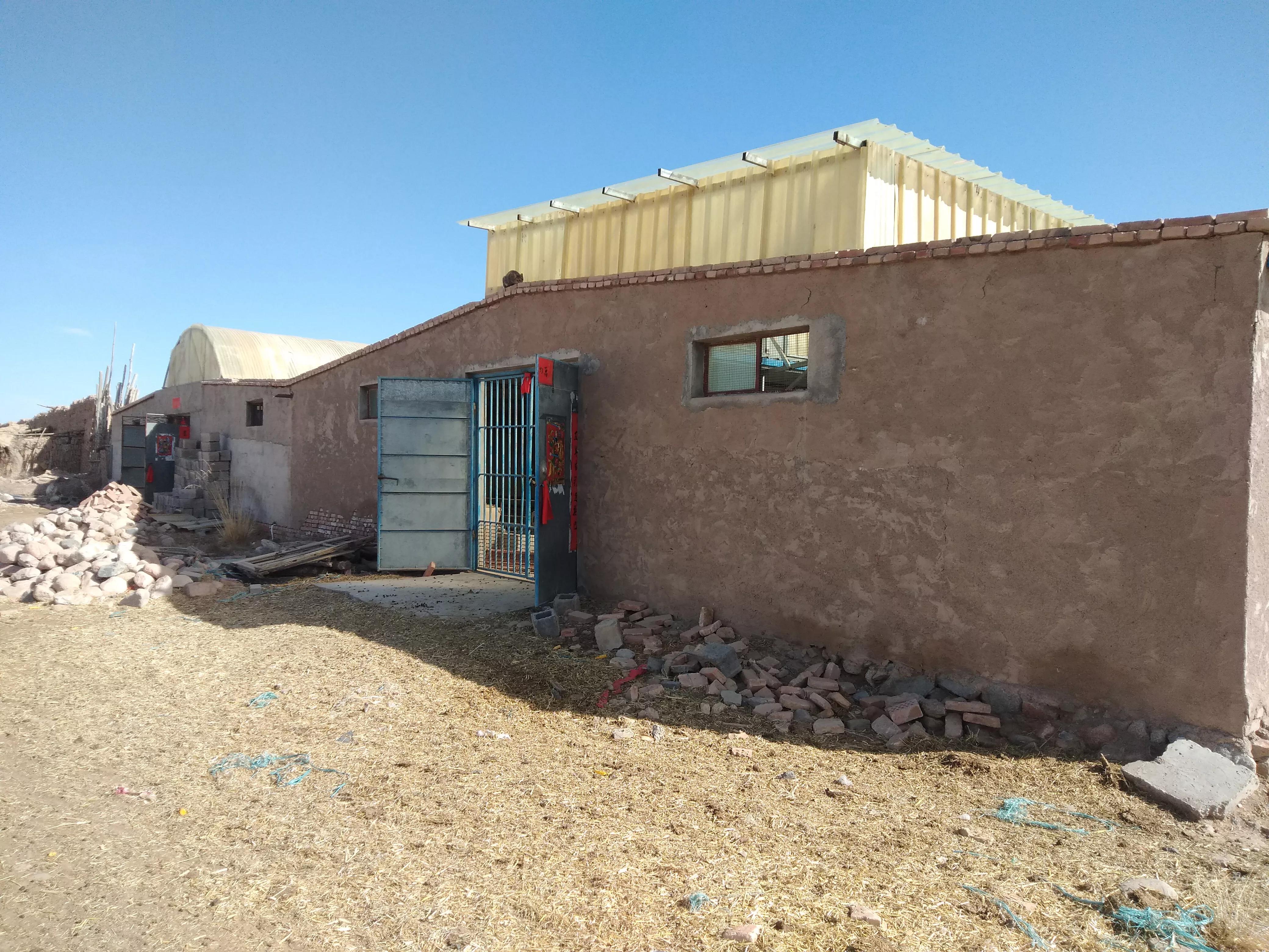 40万修建的羊场,如今却荒草丛生,看完真实情况让人心痛