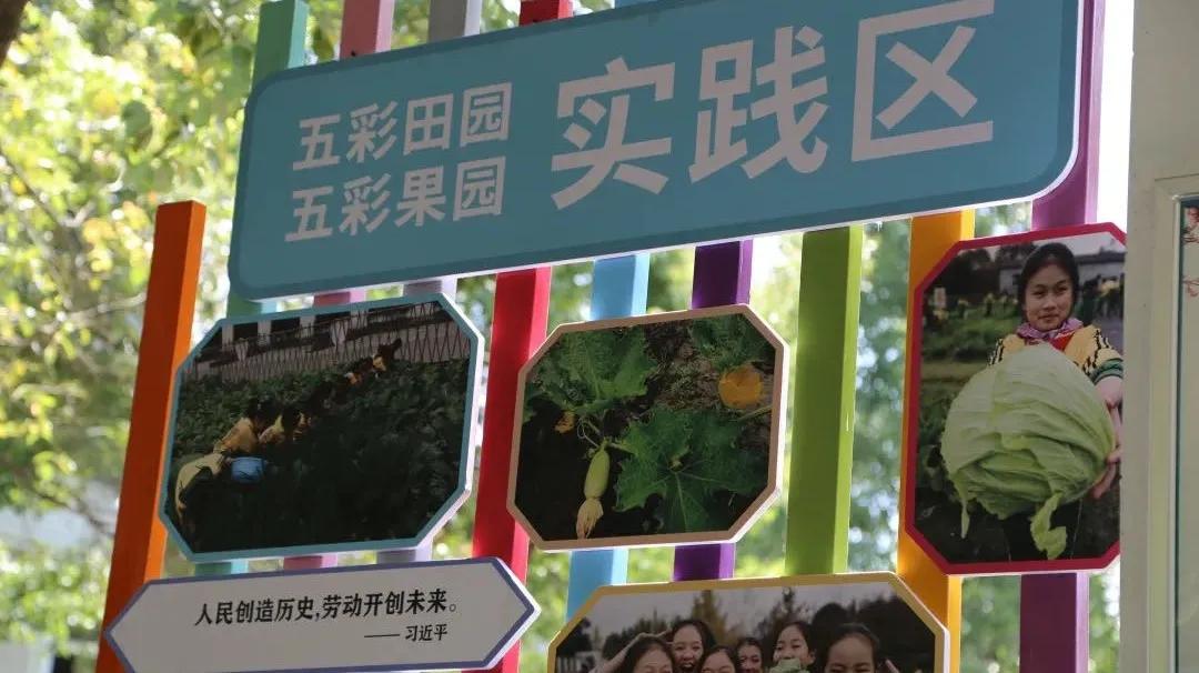 共建文明校园践行文明行为,共建文明中学生应该怎么做