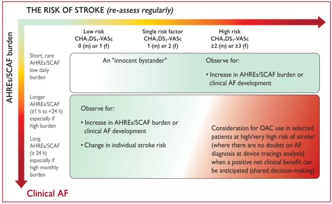 2020年欧洲心脏病学会房颤指南,国际最新房颤标准