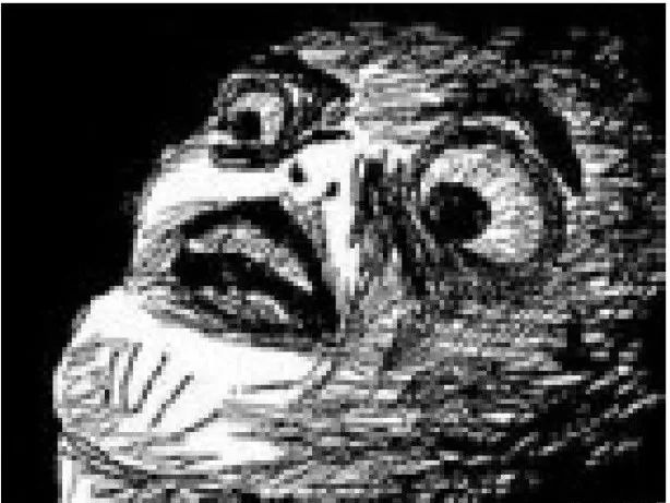 大金毛吞了一块抹布七天不吃东西,金毛吞了一个塑料球