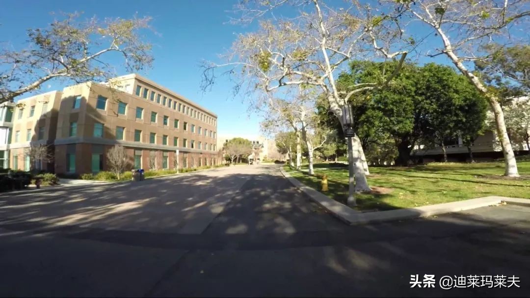 最新美国十大名校排名,美国最安全校园