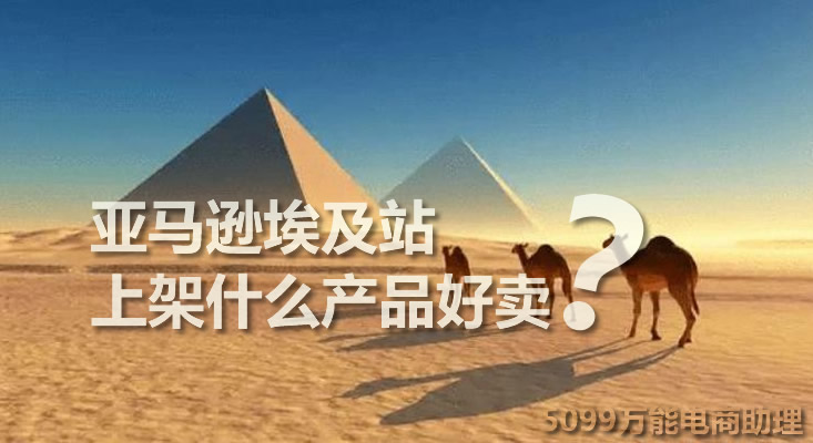 亚马逊埃及站入驻,亚马逊埃及市场