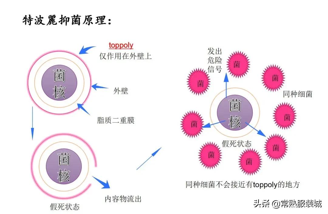 找到了！神奇的面料就在这儿！华坤针纺织用实力开启贸易新领域