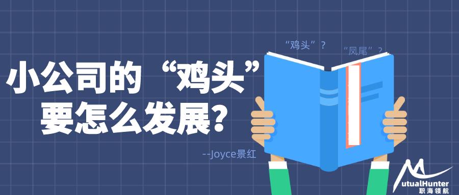 小公司猎头面试职业规划,猎头小白怎么选公司