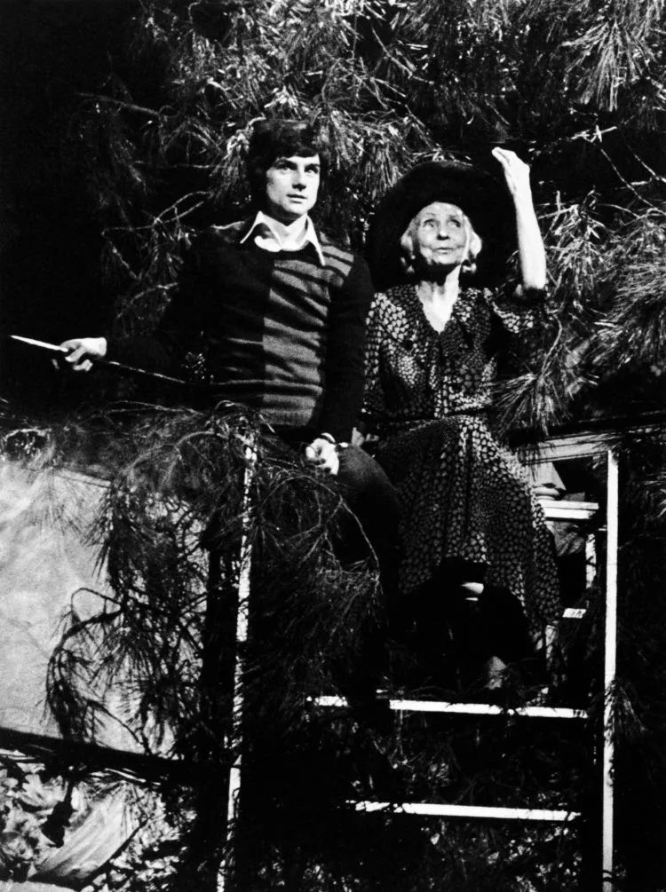 一个20岁小伙子的故事,一个20出头的男孩爱上一个女孩