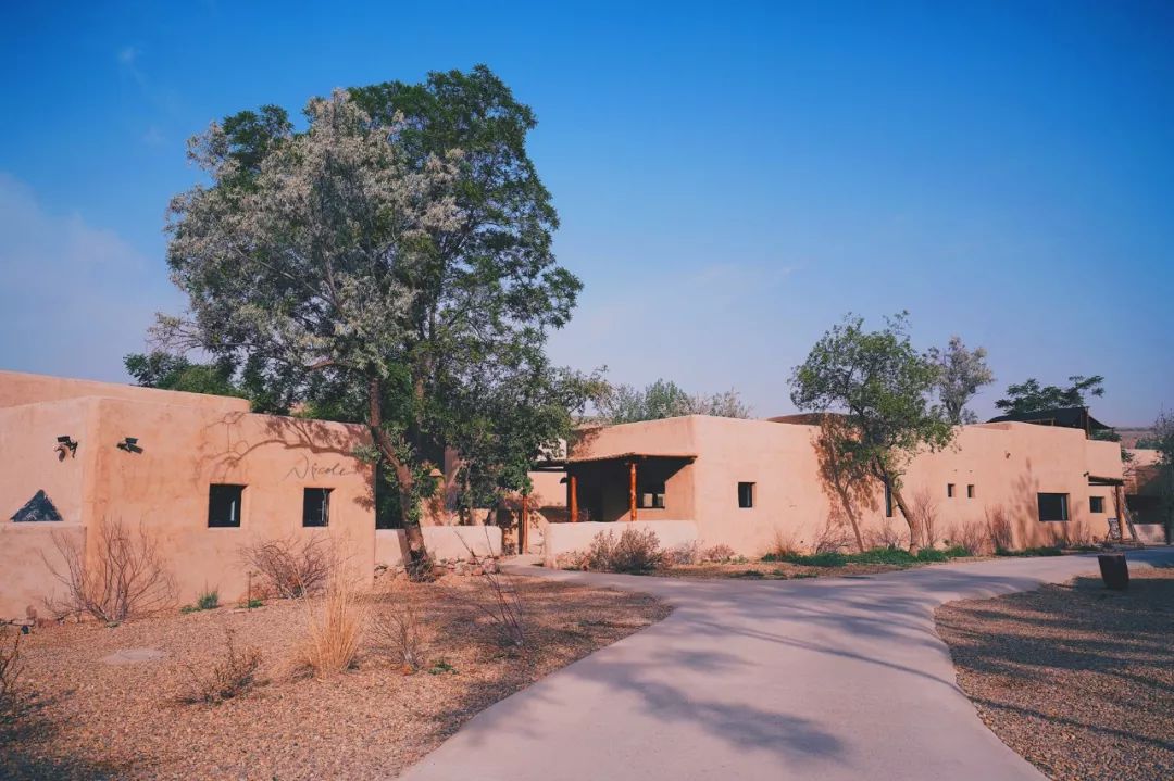 可盐可甜是哪首歌的歌词,可盐可甜出自哪