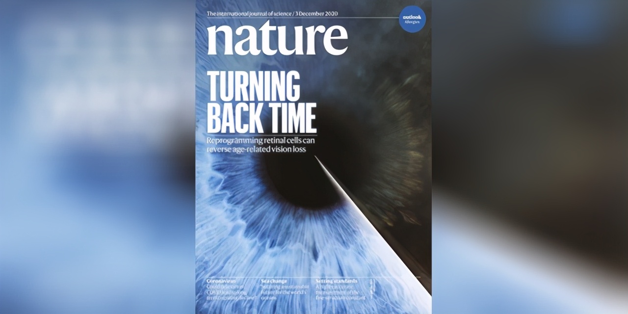 nature综述肠道菌群,nature肠道菌群分离培养