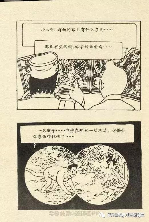 丁丁历险记之丁丁在刚果,丁丁历险记丁丁被石头绊倒
