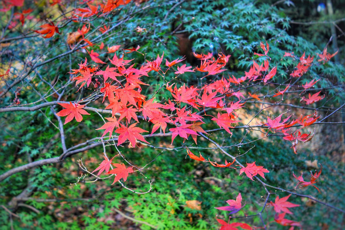 湖州周日游玩攻略推荐,湖州出游推荐