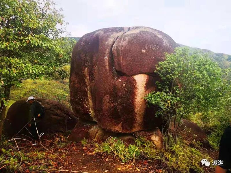 温州居然有这么美的小众景点,温州青龙山风景区在哪里